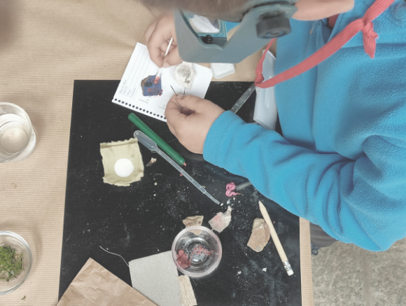 Guardianes del Patrimonio