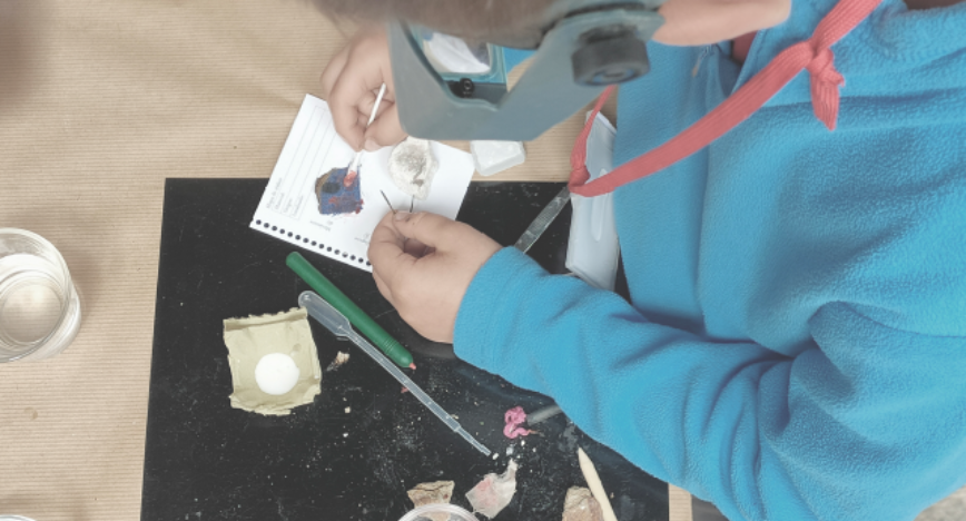 Guardianes del Patrimonio