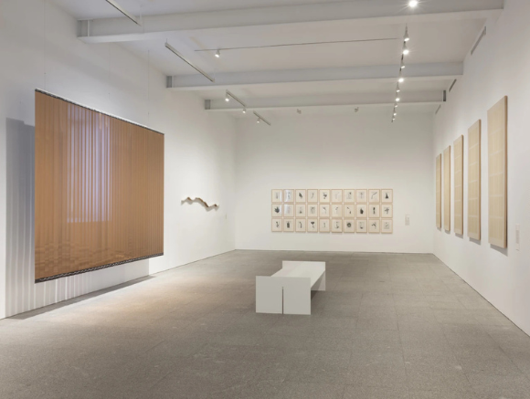 Cómo atravesar un bosque