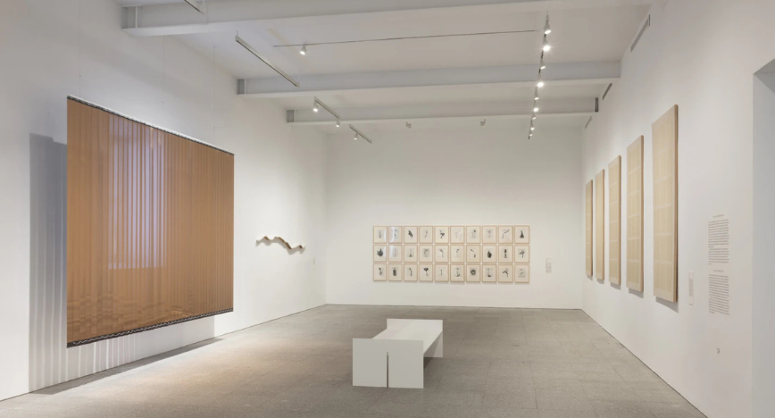 Cómo atravesar un bosque