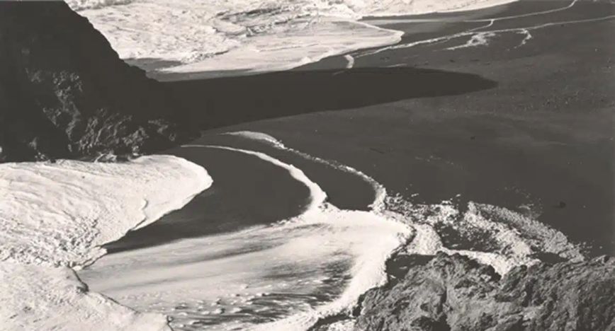 Edward Weston   La materia de las formas