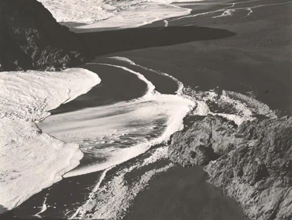 Edward Weston   La materia de las formas